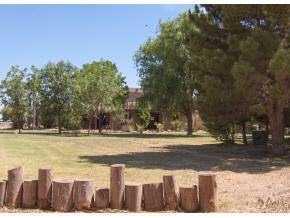 1245 Webb Rd, Anthony, NM 88021 photo 3