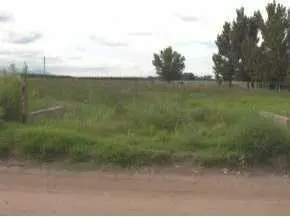 1225 Webb Rd, Anthony, NM 88021 photo 1