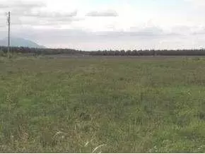 1225 Webb Rd, Anthony, NM 88021 photo 2