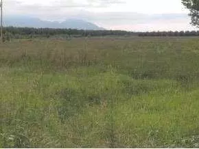 1225 Webb Rd, Anthony, NM 88021 photo 4
