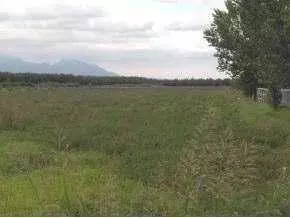 1225 Webb Rd, Anthony, NM 88021 photo 3
