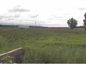 1225 Webb Rd, Anthony, NM 88021 photo 8