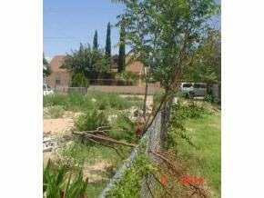 809 Third St, Fabens, TX 79838 photo 3