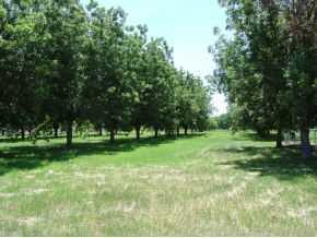 14501 North Loop, Clint, TX 79836 photo 10