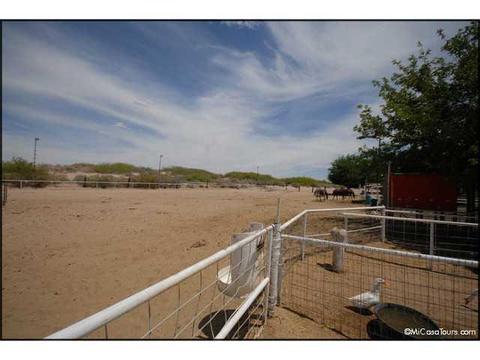 14275 N Loop Rd, Clint, TX 79836 photo 13