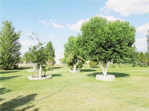 13401 N Loop Dr, Clint, TX 79836 photo 6