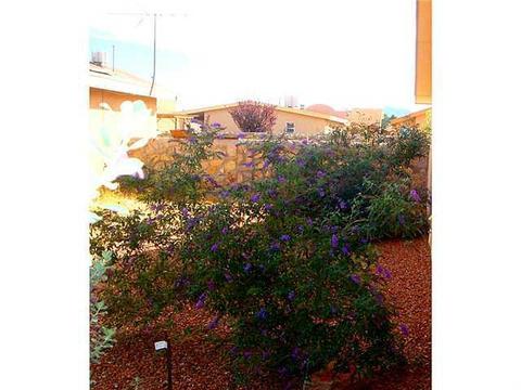 807 Isabel St, Anthony, TX 79821 photo 24