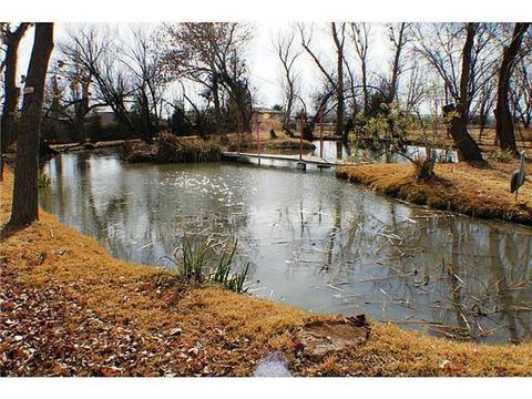 351 Wallace Rd, Anthony, NM 88021 photo 23