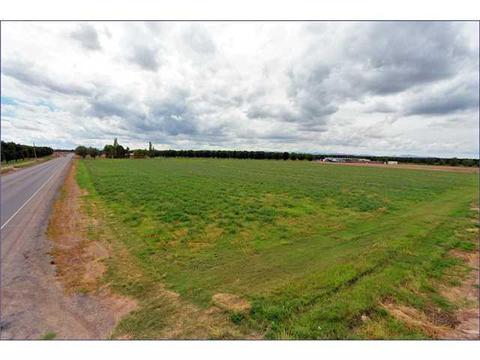 13750 N Loop Dr, Clint, TX 79836 photo 8