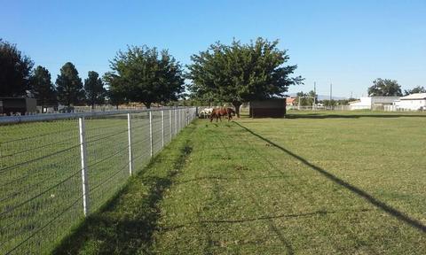 1300 N Vinton Rd, Anthony, NM 88021 photo 2
