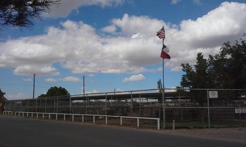 1300 N Vinton Rd, Anthony, NM 88021 photo 6