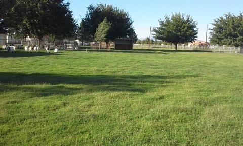 1300 N Vinton Rd, Anthony, NM 88021 photo 1