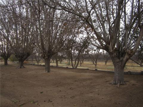 14201 N Loop Dr, Clint, TX 79836 photo 22