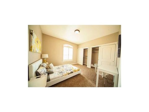 3151 Java Chip Pl, El Paso, TX 79938 photo 10