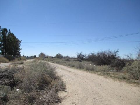 681 Lipps Rd, Anthony, NM 88021 photo 18