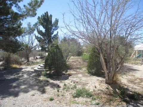 681 Lipps Rd, Anthony, NM 88021 photo 6