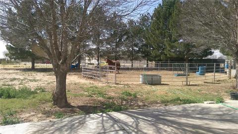 18890 Cielo Dr, Tornillo, TX 79853 photo 12