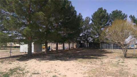 18890 Cielo Dr, Tornillo, TX 79853 photo 14
