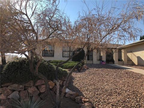 3000 Devils Tower Cir, El Paso, TX 79904 photo 5