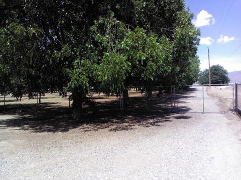 9155 Westside Rd, Anthony, NM 88021 photo 1