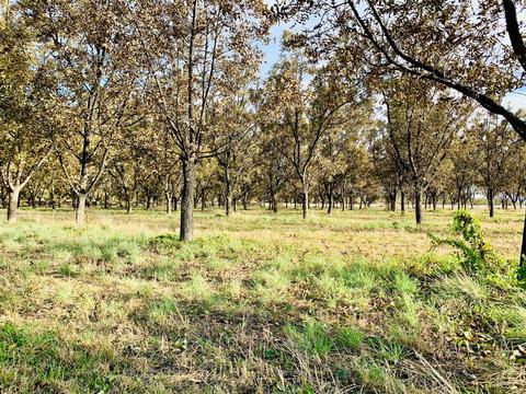 30 Egret Rd, Anthony, NM 88021 photo 34