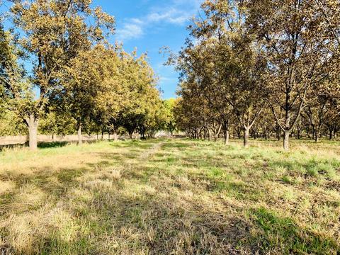 30 Egret Rd, Anthony, NM 88021 photo 37