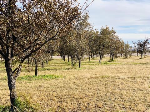 30 Egret Rd, Anthony, NM 88021 photo 38