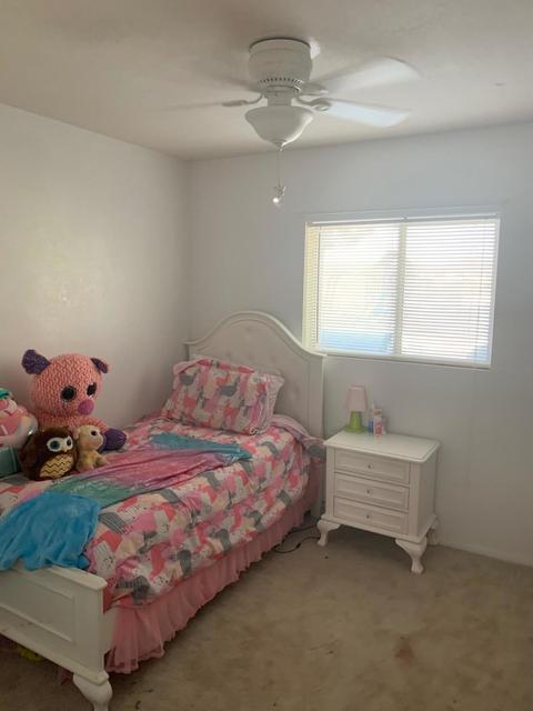 2908 Opitz Rd, Anthony, NM 88021 photo 9