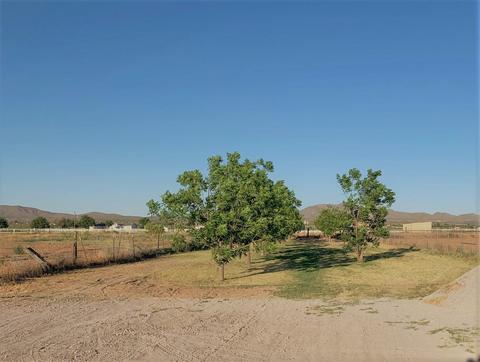2908 Opitz Rd, Anthony, NM 88021 photo 14