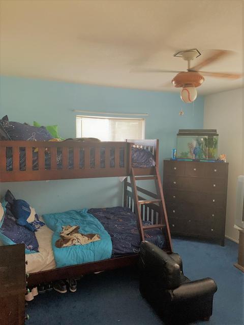 2908 Opitz Rd, Anthony, NM 88021 photo 10