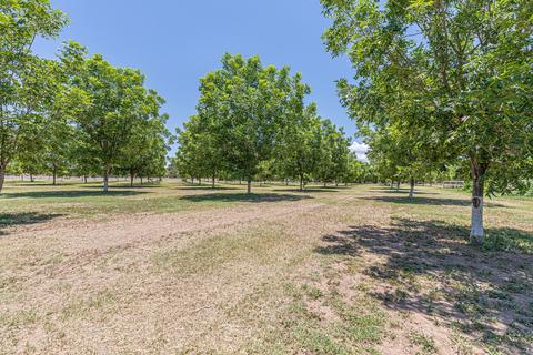 14170 N Loop Dr, Clint, TX 79836 photo 43