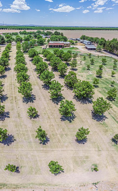 14170 N Loop Dr, Clint, TX 79836 photo 44