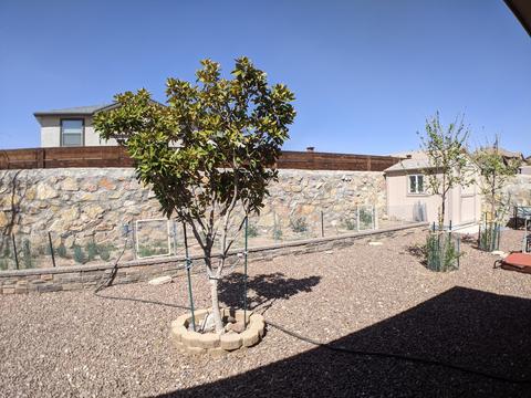 11357 E Ranch Ct, El Paso, TX 79934 photo 36