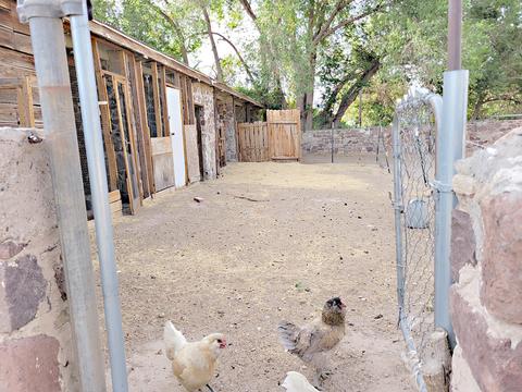 7065 Mcnutt Rd, Anthony, NM 88021 photo 38