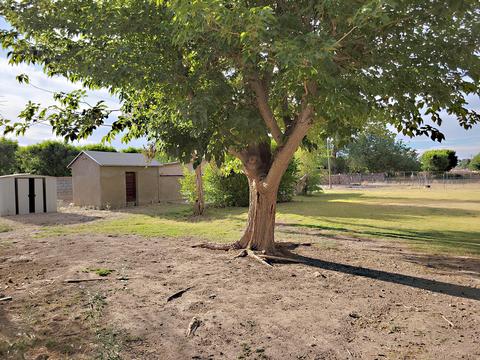 7065 Mcnutt Rd, Anthony, NM 88021 photo 33