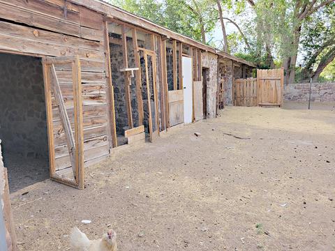 7065 Mcnutt Rd, Anthony, NM 88021 photo 39