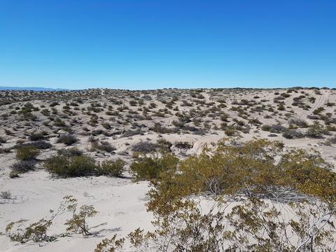 tbd Fabens, Fabens, TX 79838