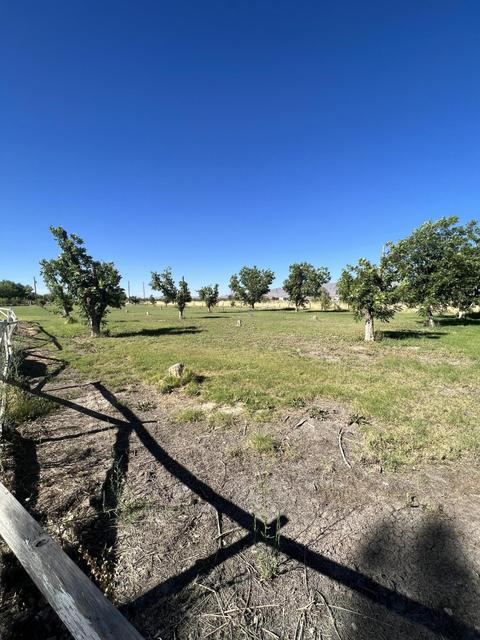 500 Cocula Ave, Canutillo, TX 79835 photo 9