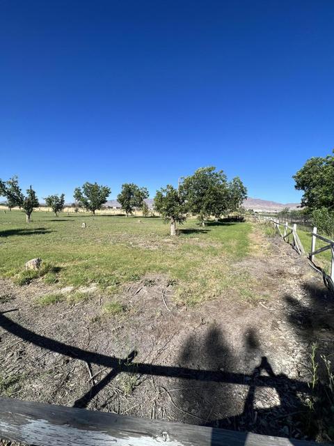 500 Cocula Ave, Canutillo, TX 79835 photo 8