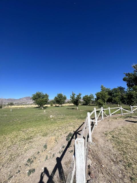 500 Cocula Ave, Canutillo, TX 79835 photo 11