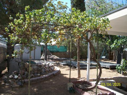 11368 Beach Front Dr, El Paso, TX 79936 photo 13