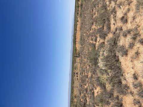Tbd Tbd, Van Horn, TX 79855