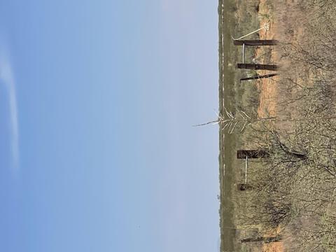 Tbd Tbd, Van Horn, TX 79855