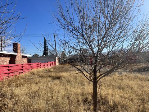 509 S 4th St, Anthony, TX 79821 photo 7