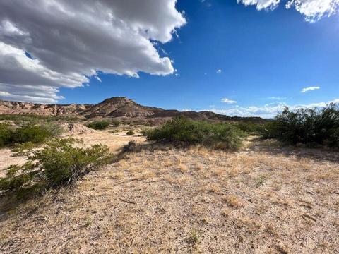 10 Acre Texas Rnch, Fort Hancock, TX 79839