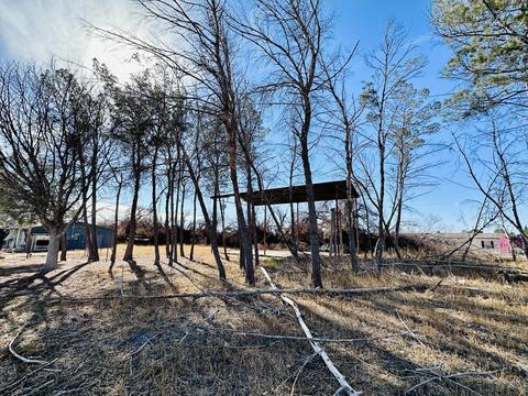 421 Lipps Rd, Anthony, NM 88021 photo 47