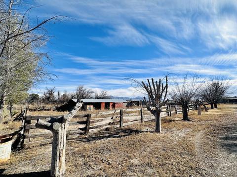 421 Lipps Rd, Anthony, NM 88021 photo 8