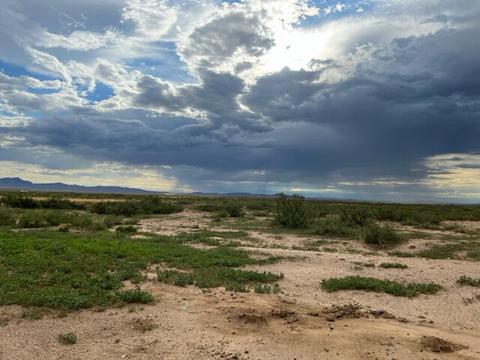 736 Upham Rd, Elephant Butte, NM 87935