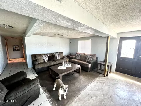 19149 Chamizo Rd, Tornillo, TX 79853 photo 18