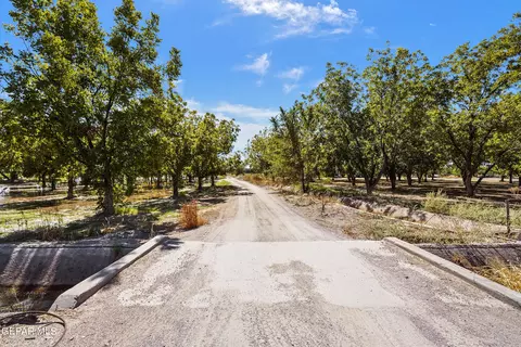 767 W Ohara Rd, Anthony, NM 88021